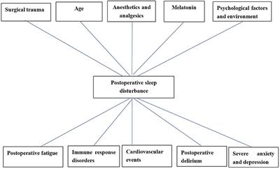 Sleep Disturbances After General Anesthesia: Current Perspectives